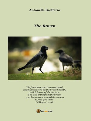 cover image of The Raven